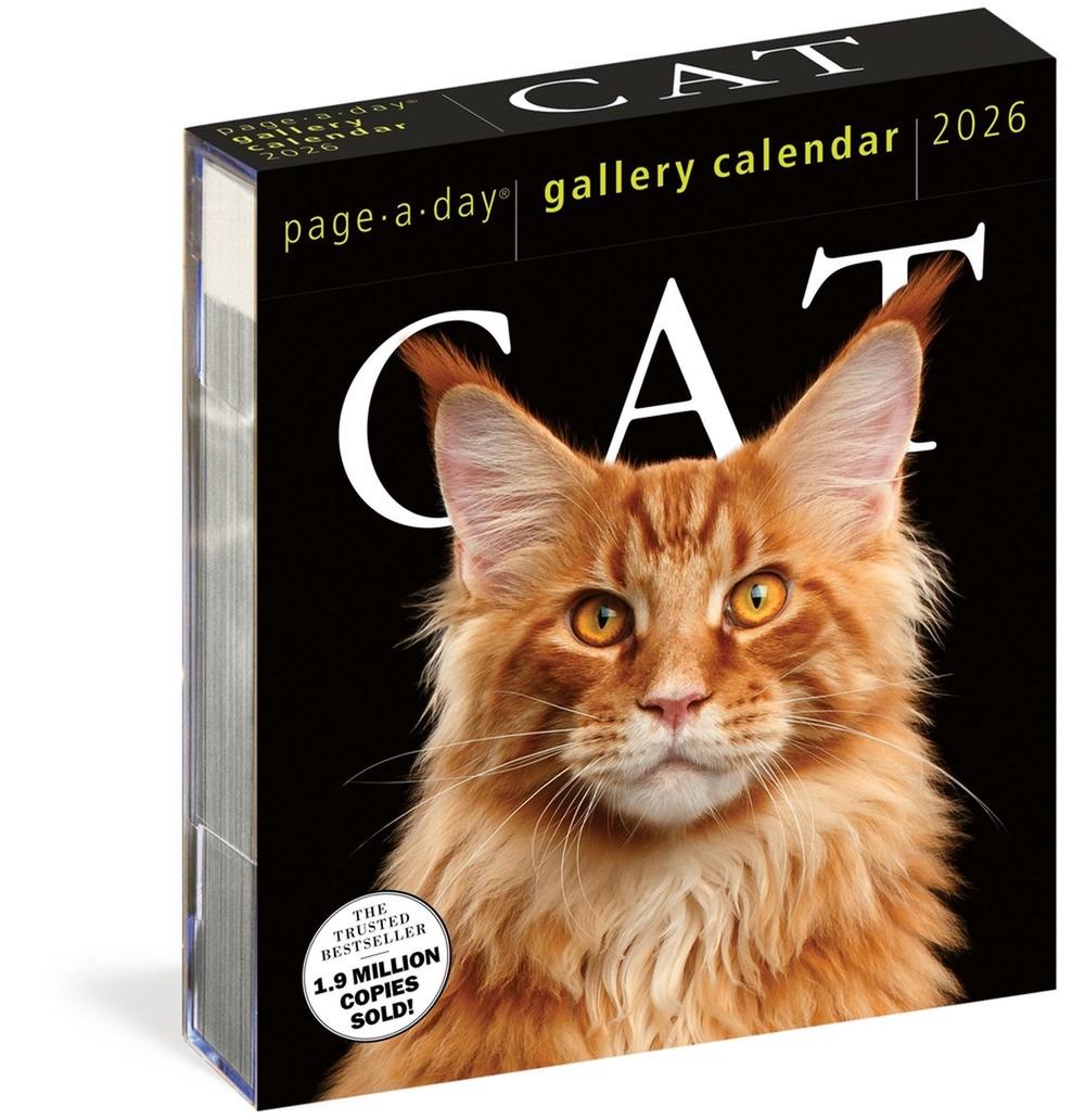 Cat Page-A-Day® Gallery Calendar 2026, 9781523531295