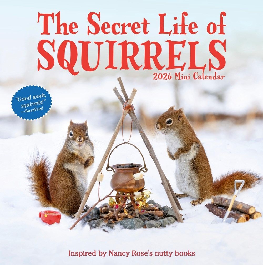 Secret Life of Squirrels Mini Wall Calendar 2026 by Nancy Rose - ISBN: 9781523531301