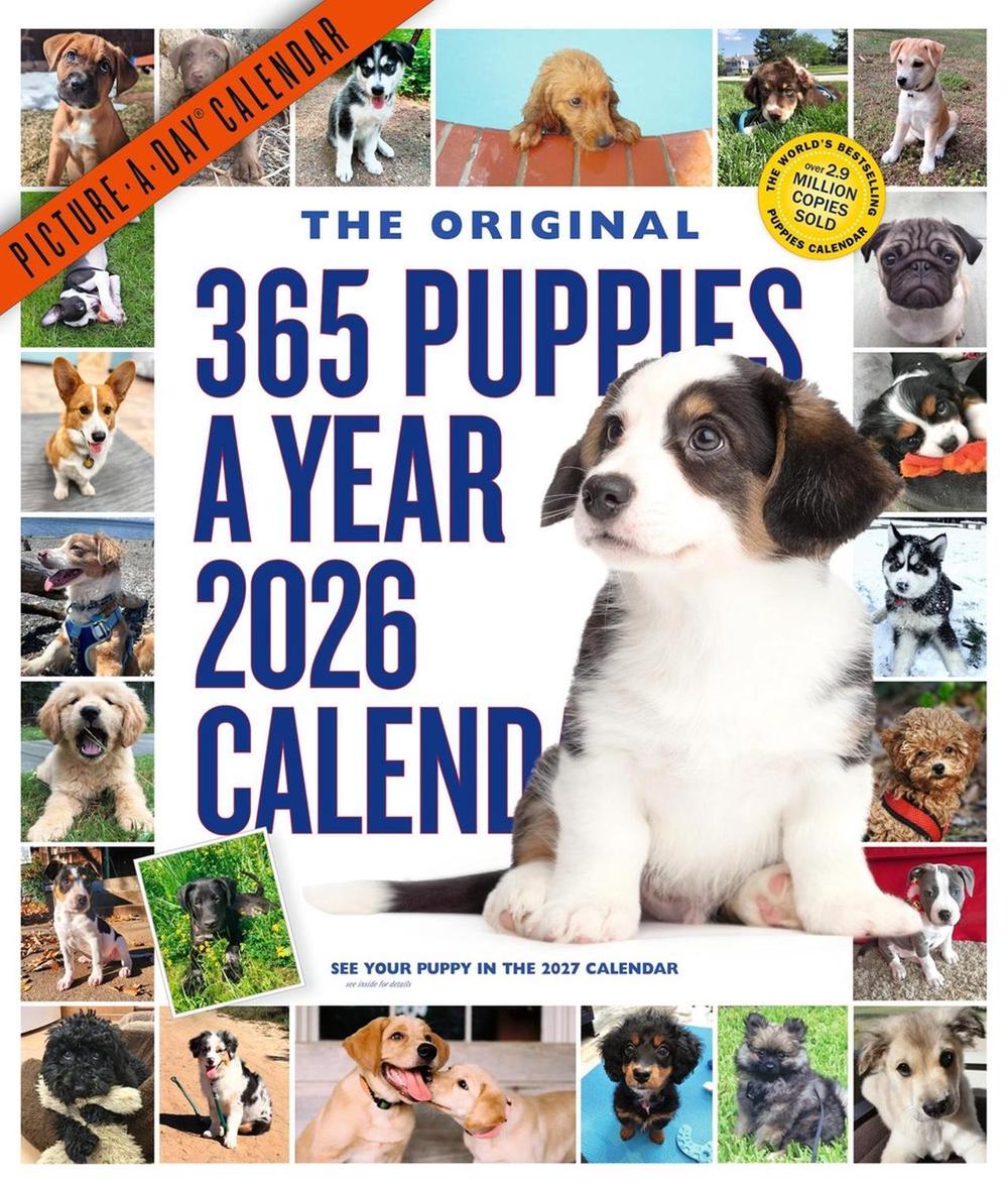 365 Puppies-A-Year Picture-A-Day® Wall Calendar 2026, 9781523531332