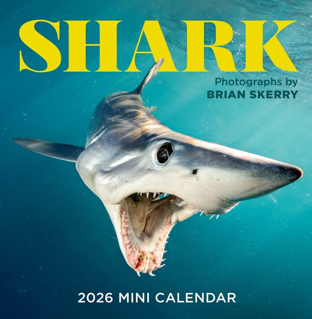 Shark Mini Wall Calendar 2026, 9781523531455