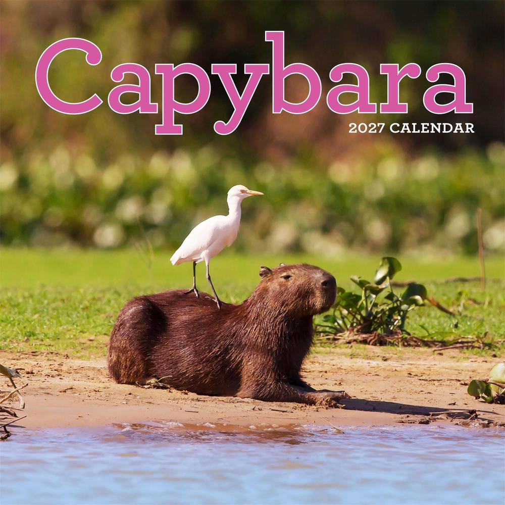 Capybara Wall Calendar 2027 by Workman Calendars - ISBN: 9781523533305