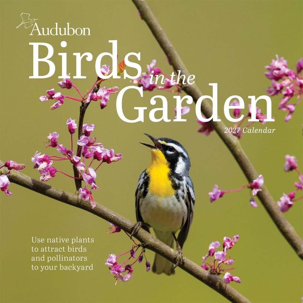 Audubon Birds in the Garden Wall Calendar 2027 by National Audubon Society - ISBN: 9781523533343
