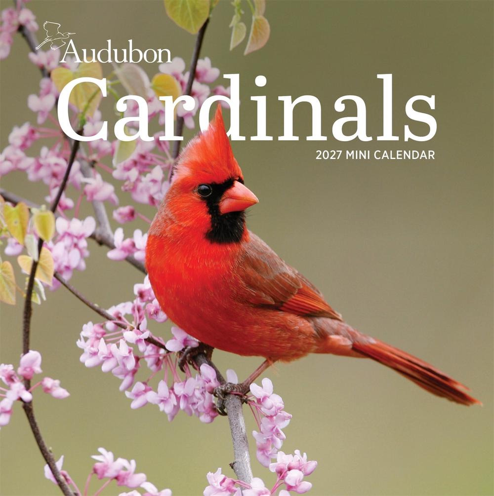 Audubon Cardinals Mini Wall Calendar 2027 by National Audubon Society - ISBN: 9781523533367