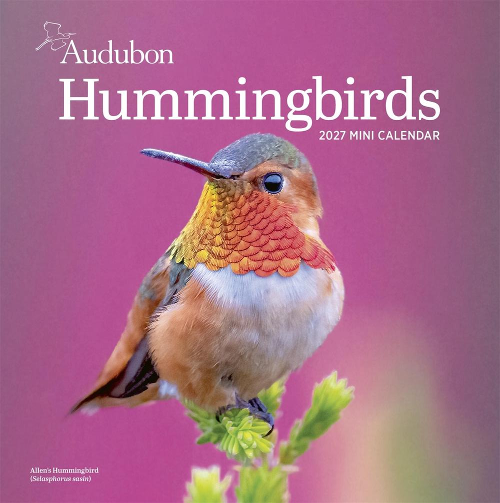 Audubon Hummingbirds Mini Wall Calendar 2027 by National Audubon Society - ISBN: 9781523533381