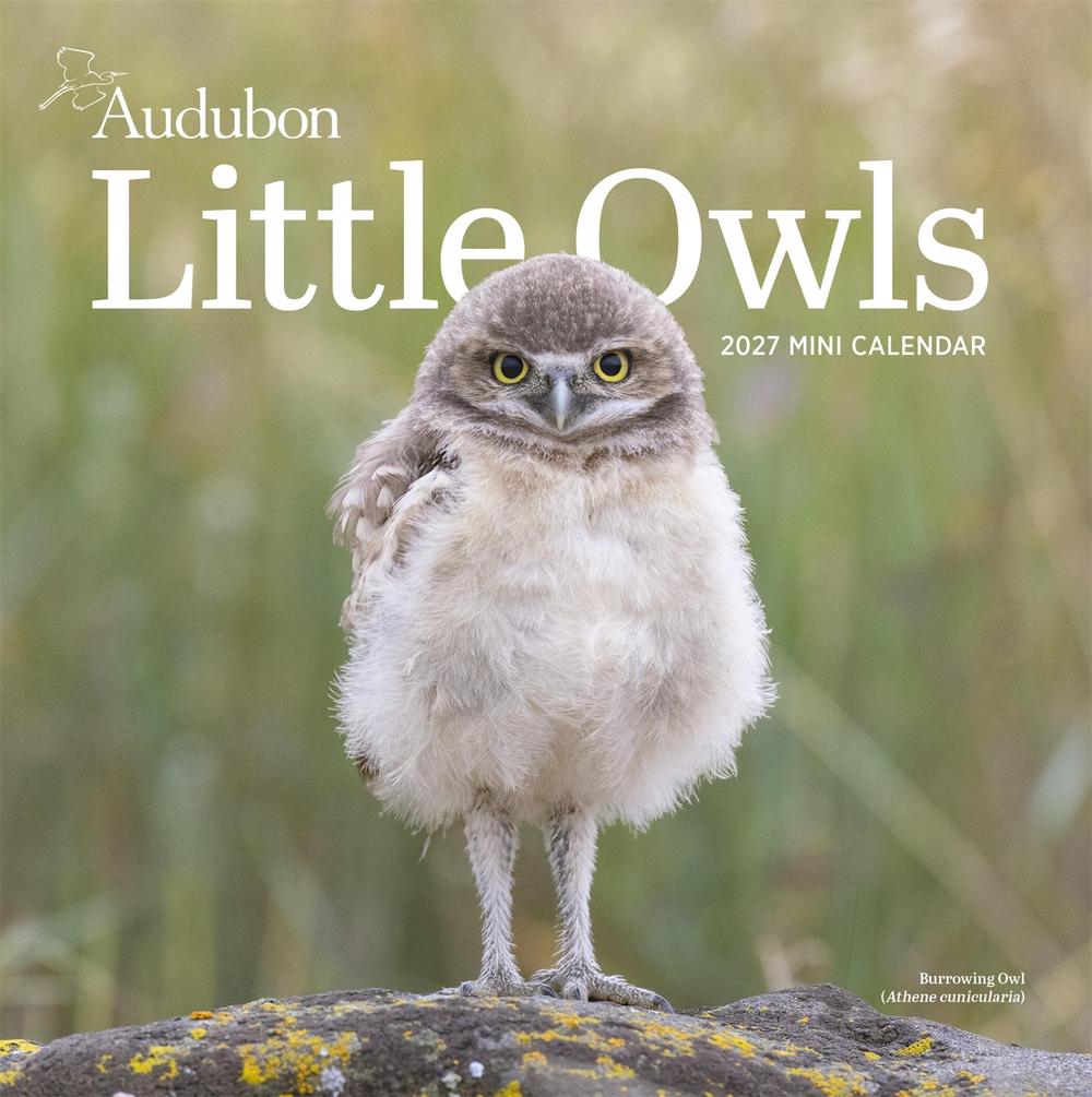 Audubon Little Owls Mini Wall Calendar 2027 by National Audubon Society - ISBN: 9781523533398