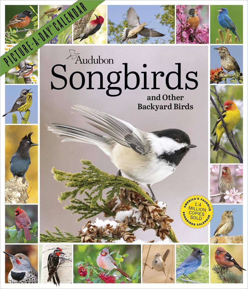 Audubon Songbirds and Other Backyard Birds Picture-A-Day® Wall Calendar 2027 by National Audubon Society - ISBN: 9781523533404