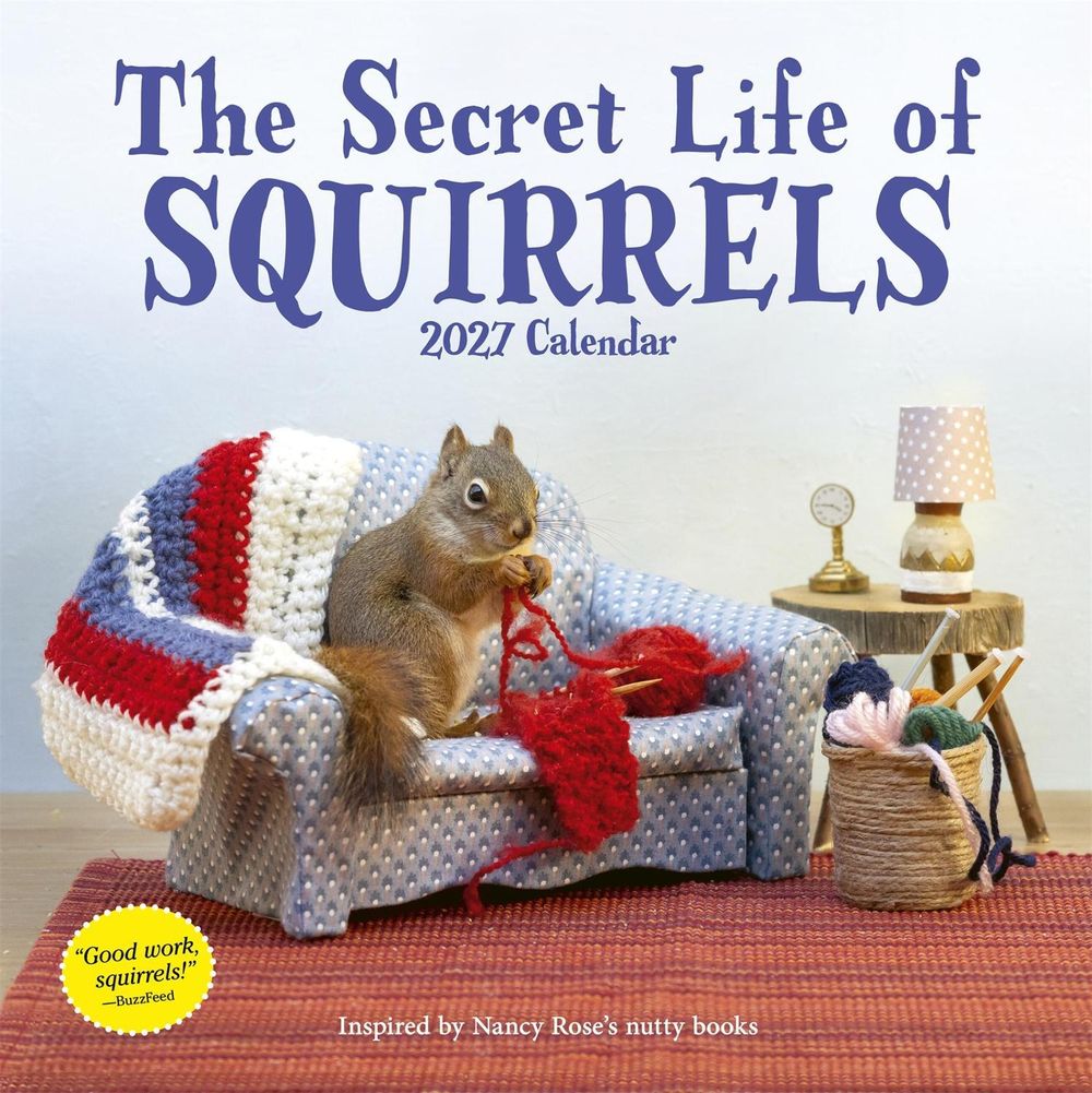 Secret Life of Squirrels Wall Calendar 2027 by Nancy Rose - ISBN: 9781523533848