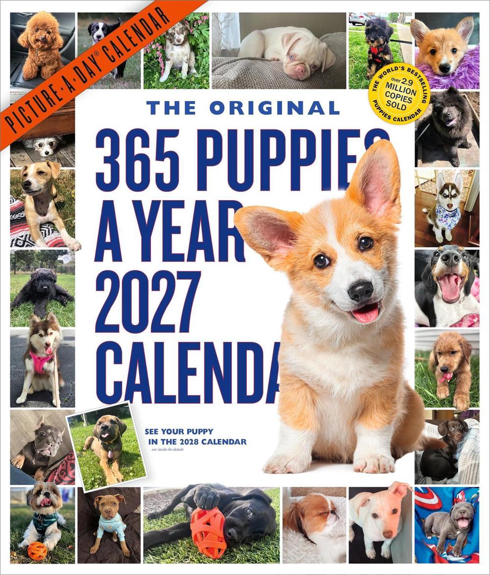 365 Puppies-A-Year Picture-A-Day® Wall Calendar 2027 by Workman Calendars - ISBN: 9781523533879