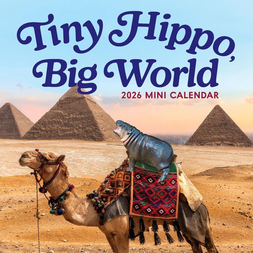 Tiny Hippo, Big World Mini Calendar 2026, 9781523533886