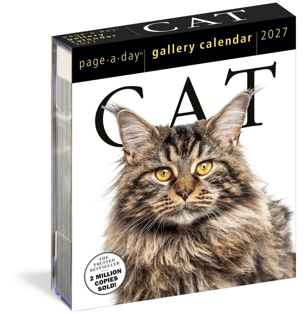 Cat Page-A-Day® Gallery Calendar 2027 by Workman Calendars - ISBN: 9781523534333