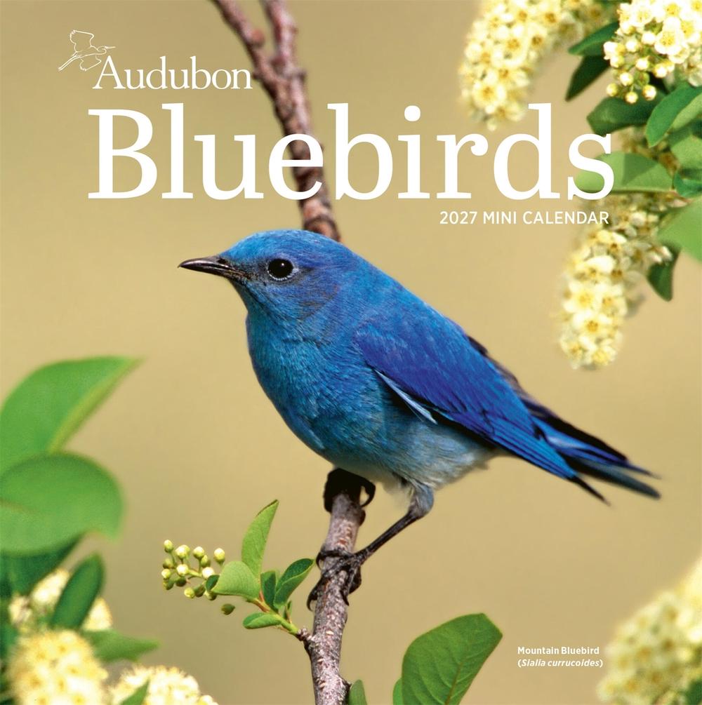 Audubon Bluebirds Mini Wall Calendar 2027 by National Audubon Society - ISBN: 9781523534524