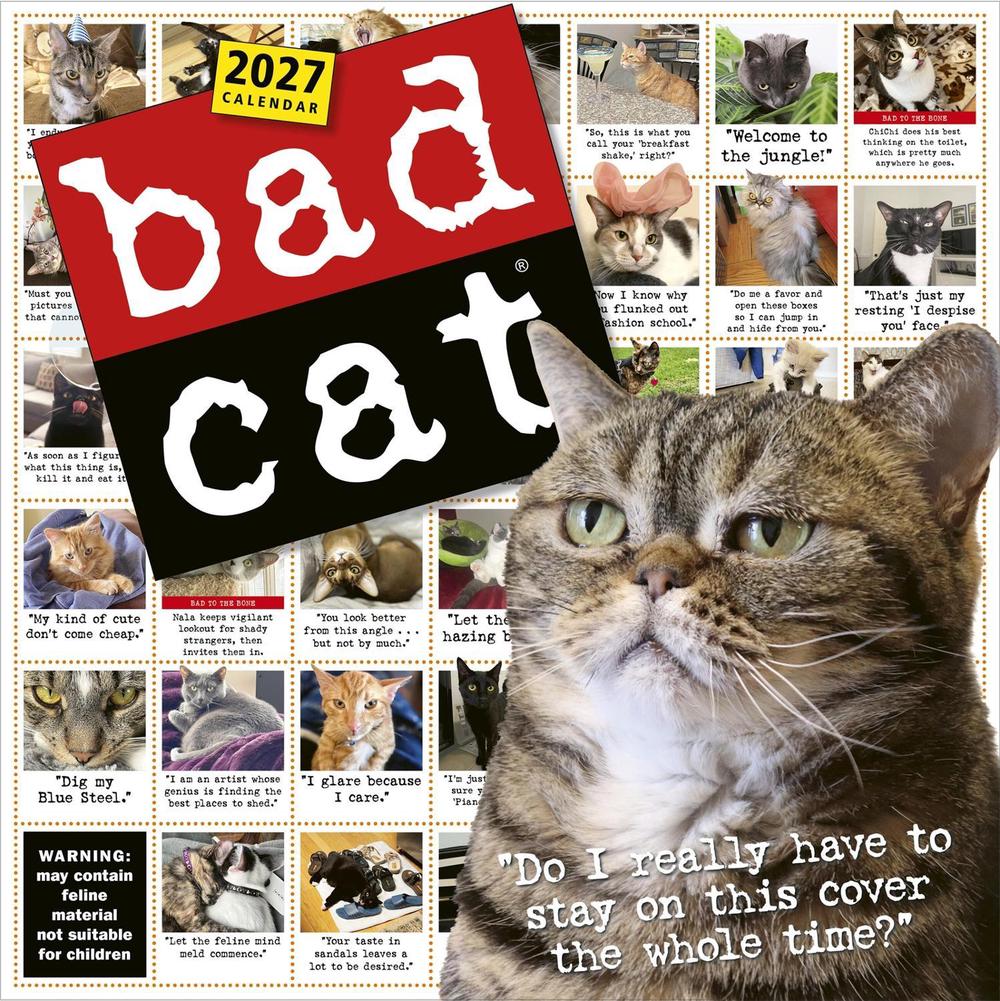 Bad Cat Wall Calendar 2027 by Harry Prichett - ISBN: 9781523534739