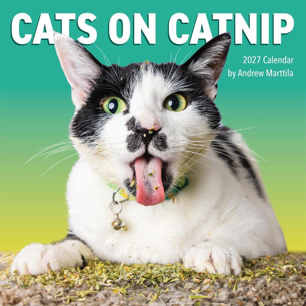 Cats on Catnip Wall Calendar 2027 by Andrew Marttila - ISBN: 9781523534838