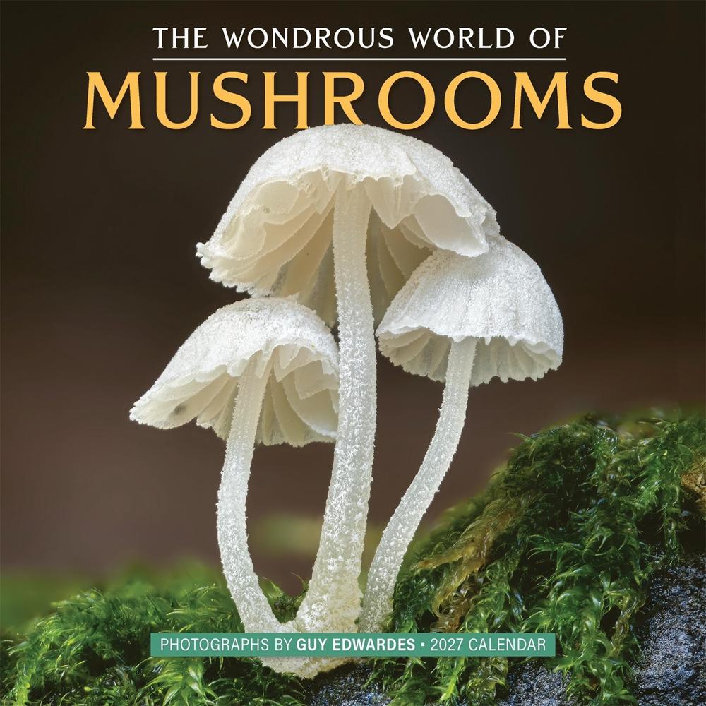 The Wondrous World of Mushrooms Wall Calendar 2027 by Guy Edwardes - ISBN: 9781523535064