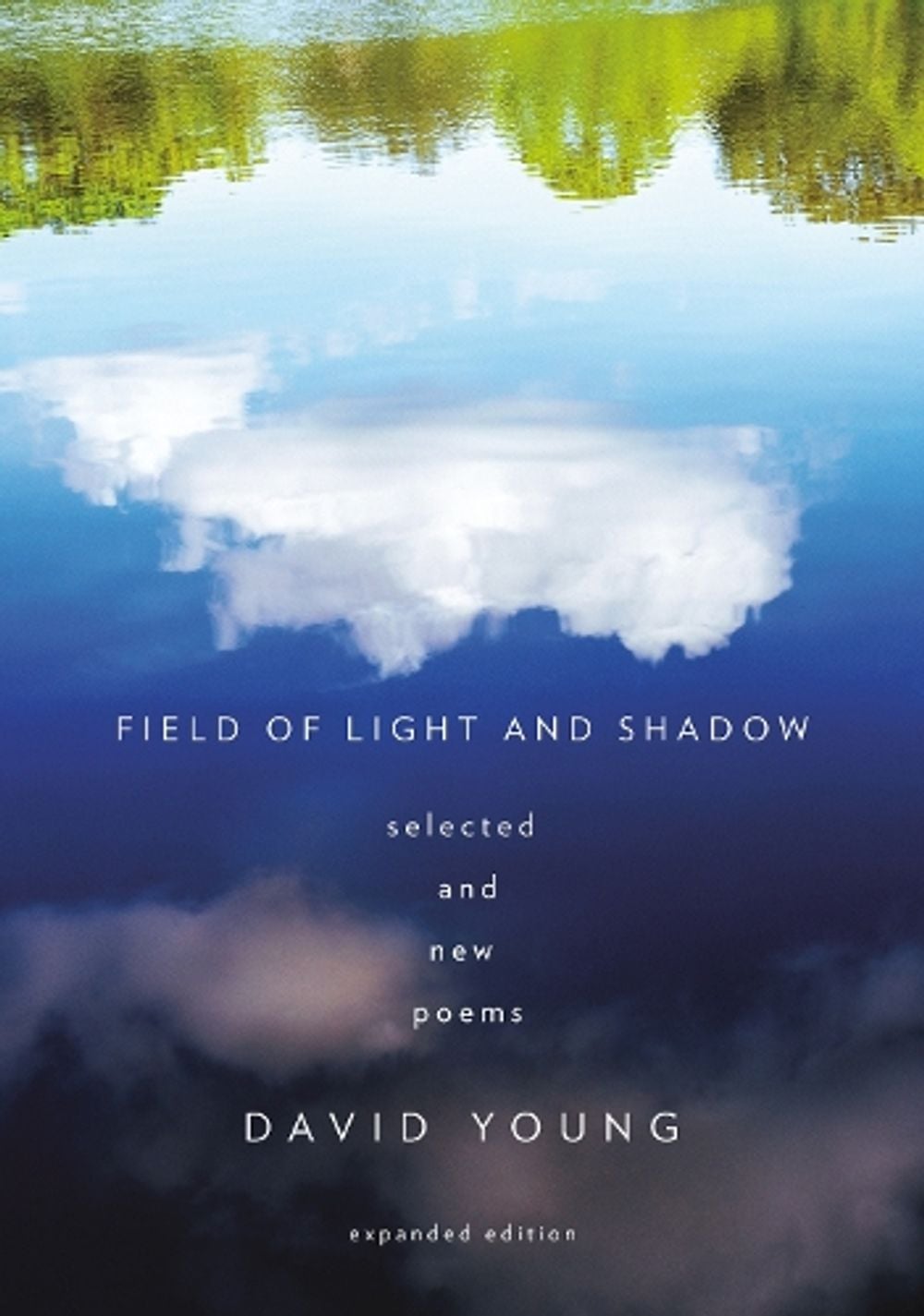 Field of Light and Shadow by David Young - ISBN: 9781524712334