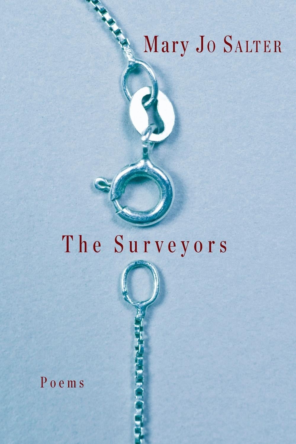 The Surveyors by Mary Jo Salter - ISBN: 9781524732660