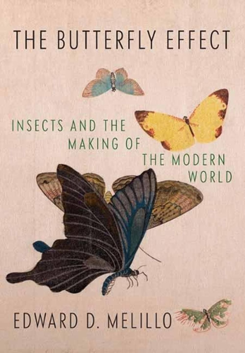 Butterfly Effect by Edward Melillo - ISBN: 9781524733216