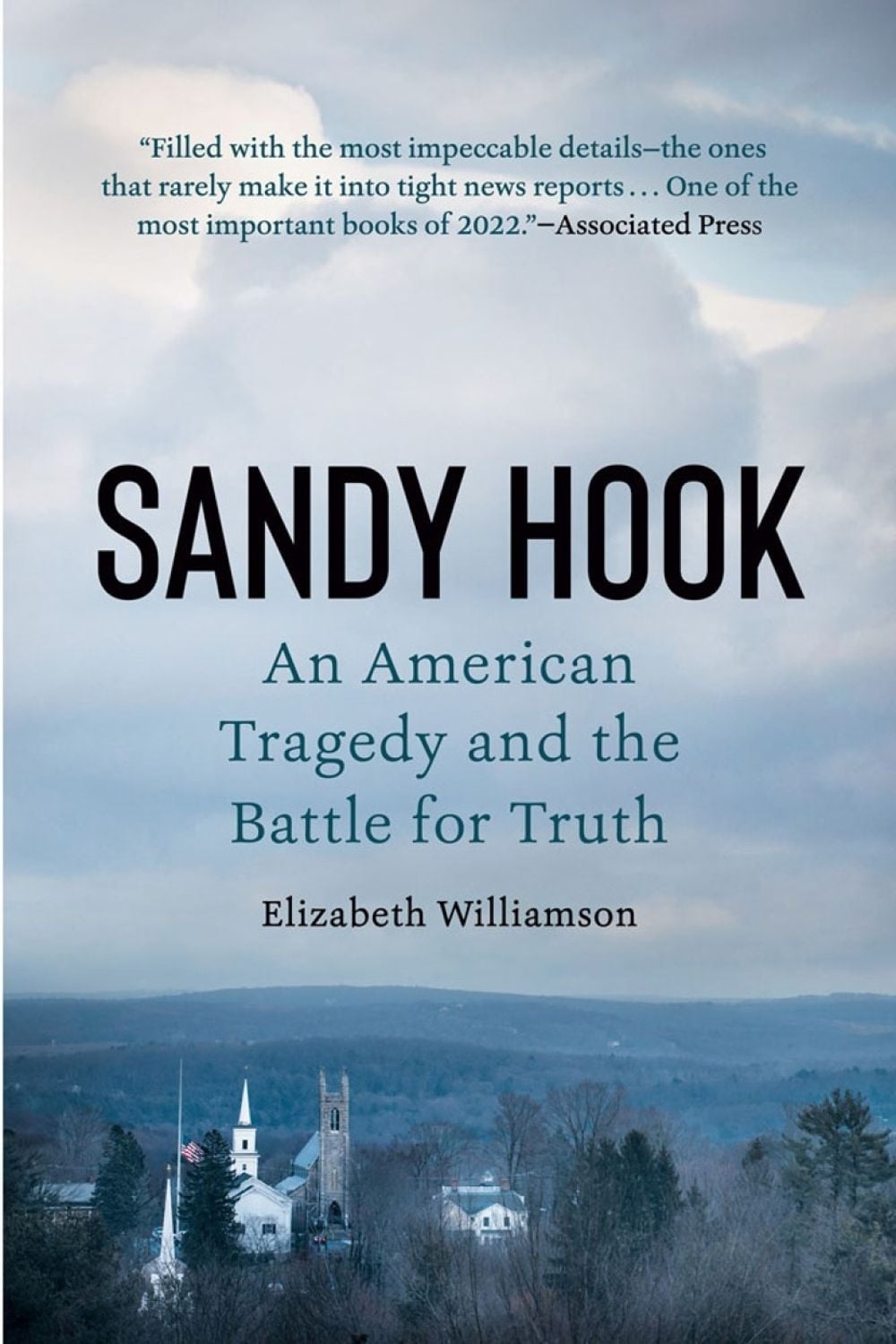 Sandy Hook by Elizabeth Williamson - ISBN: 9781524746582