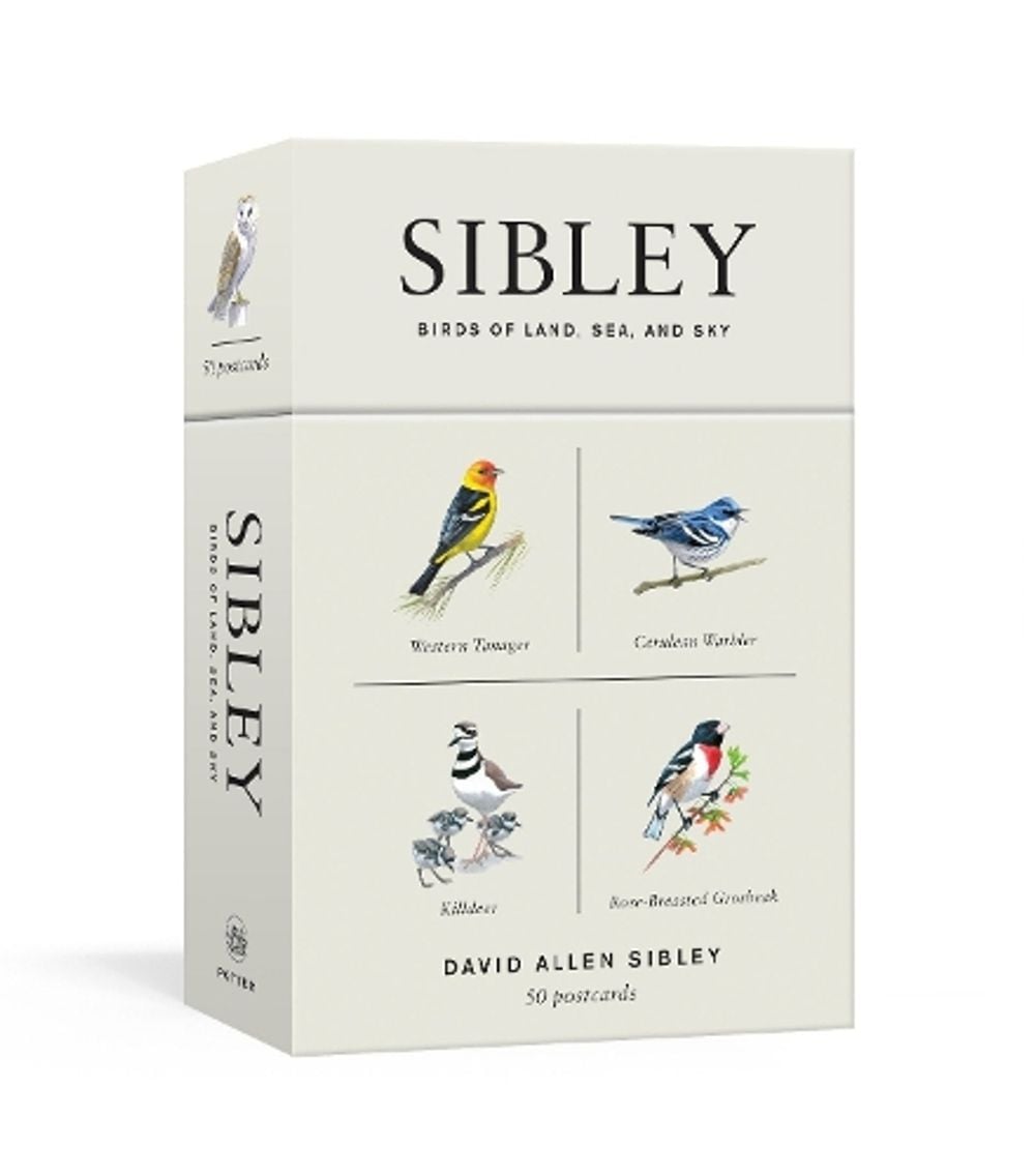 Sibley Birds of Land, Sea, and Sky by David Allen Sibley - ISBN: 9781524761820