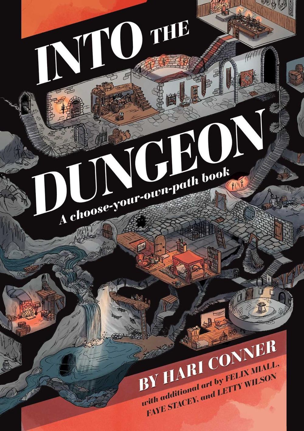 Into the Dungeon by Hari Conner - ISBN: 9781524861704
