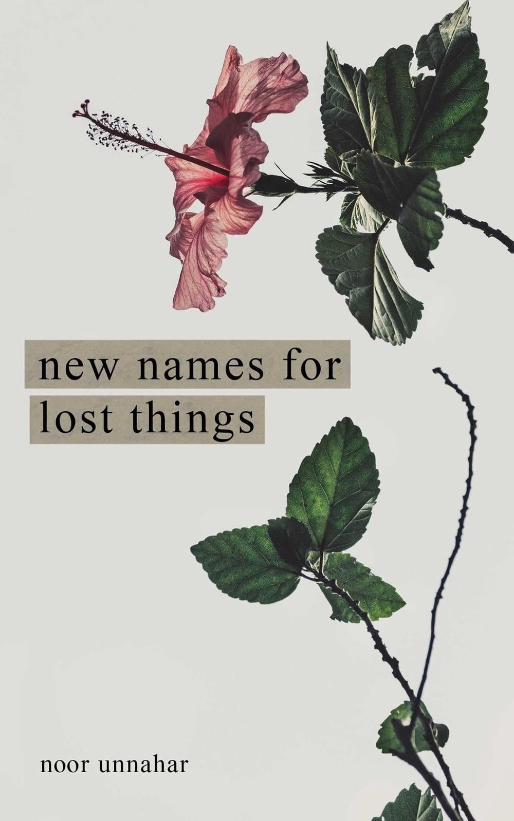 New Names for Lost Things by Noor Unnahar - ISBN: 9781524867591