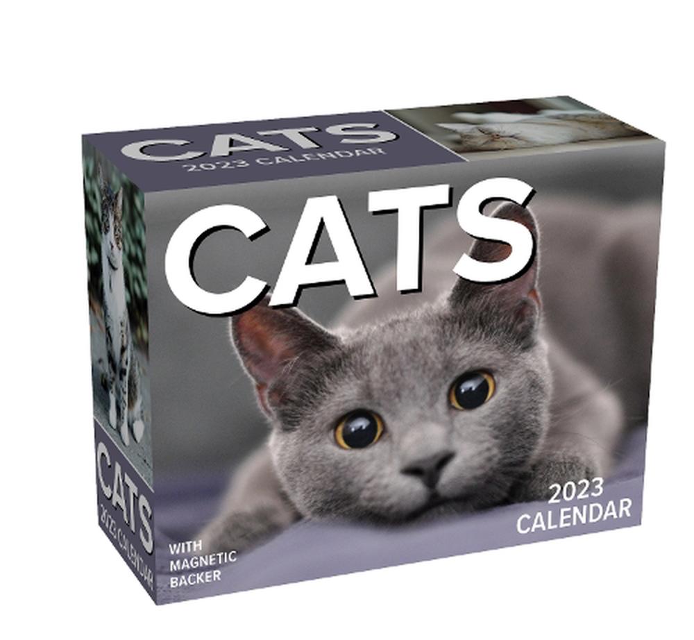 cats-2023-mini-day-to-day-calendar-by-andrews-mcmeel-publishing