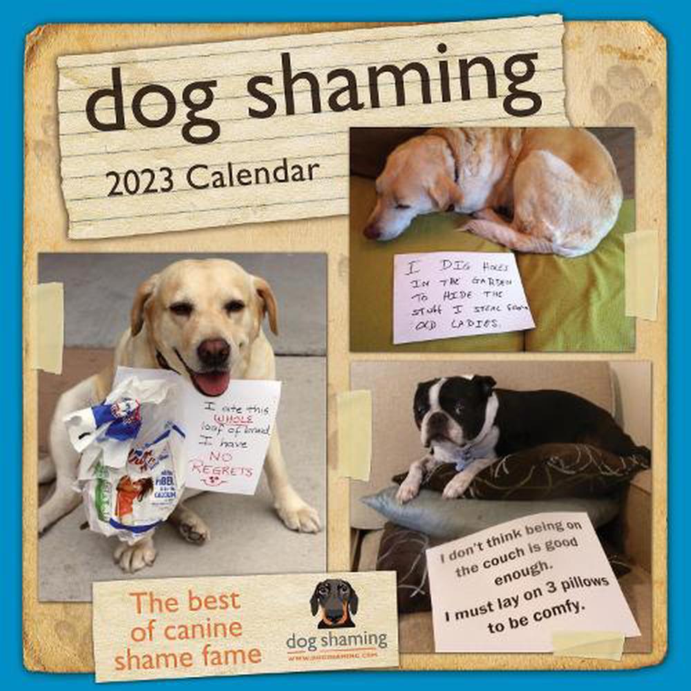 dog-shaming-2023-wall-calendar-by-pascale-lemire-9781524872793-buy-online-at-the-nile