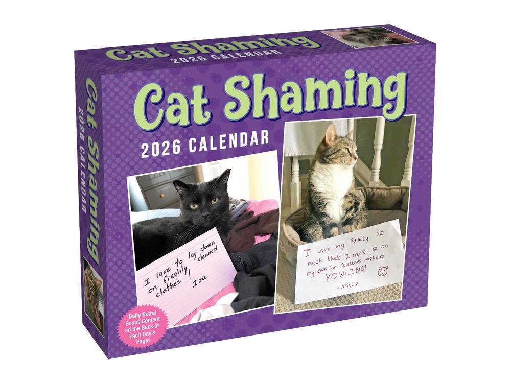 Cat Shaming 2026 Day-to-Day Calendar, 9781524898113