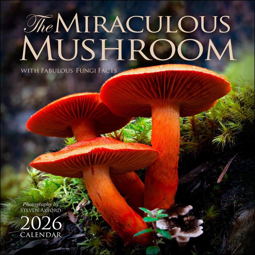 The Miraculous Mushroom 2026 Wall Calendar, 9781524898939