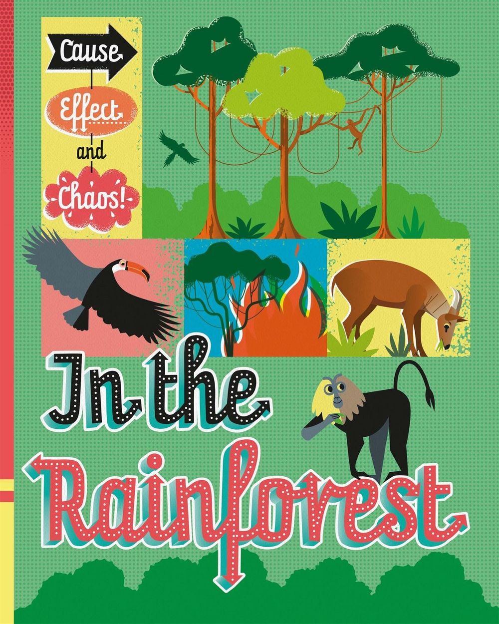 Cause, Effect and Chaos!: In the Rainforest by Paul Mason - ISBN: 9781526305817