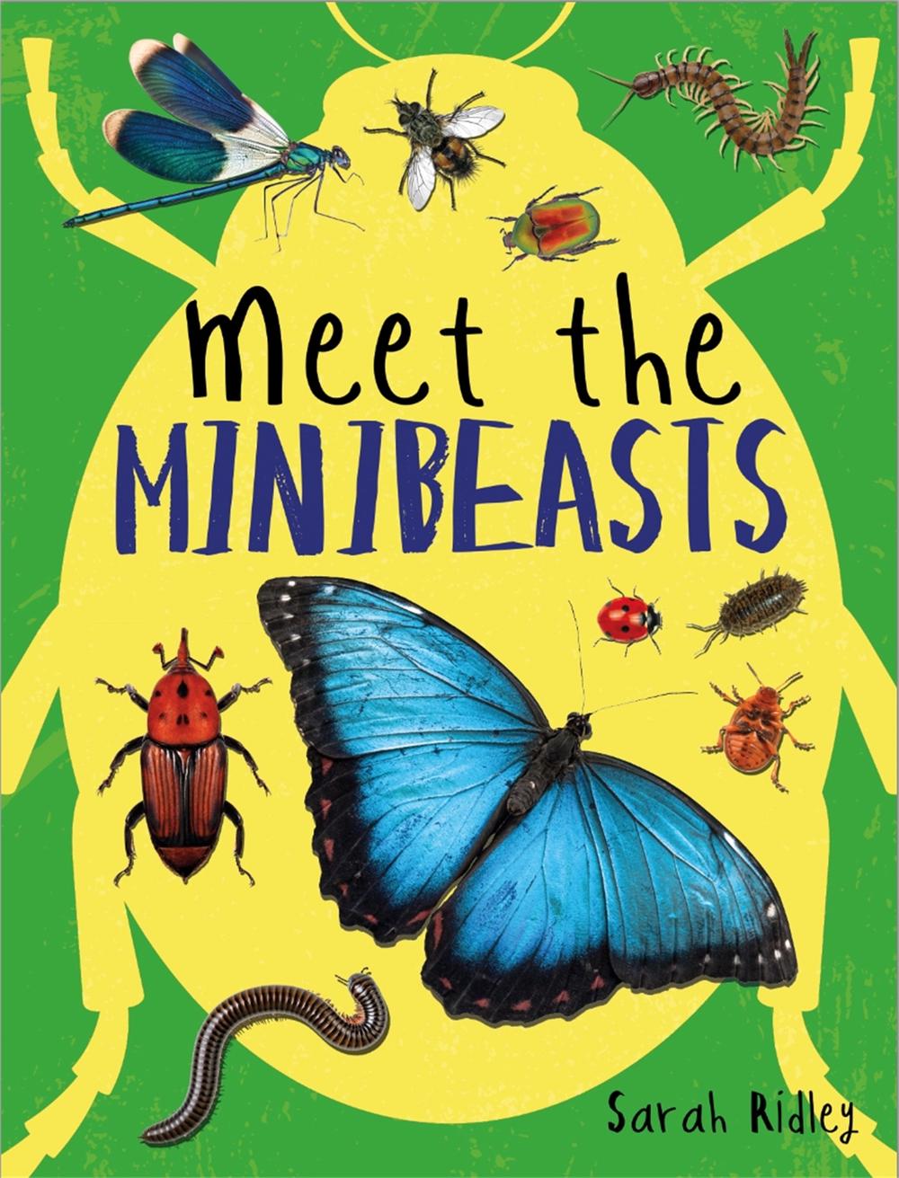 Meet the Minibeasts by Sarah Ridley - ISBN: 9781526307392