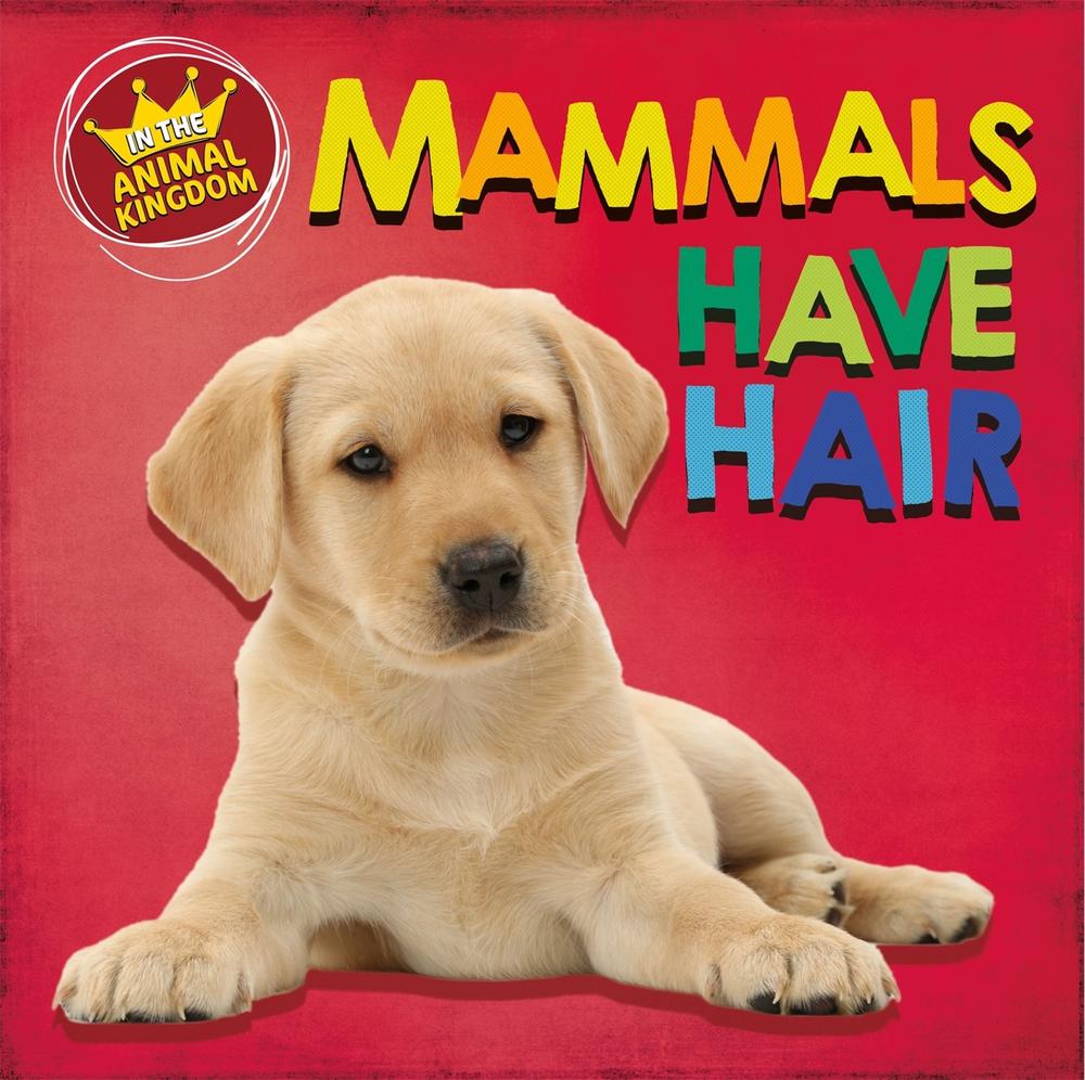 In the Animal Kingdom: Mammals Have Hair by Sarah Ridley - ISBN: 9781526309006