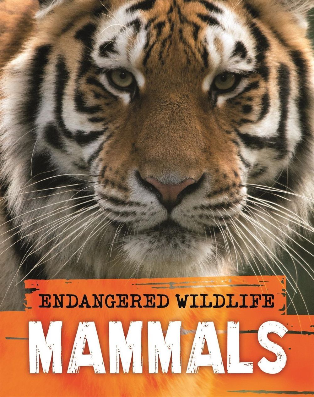 Endangered Wildlife: Rescuing Mammals by Anita Ganeri - ISBN: 9781526309686