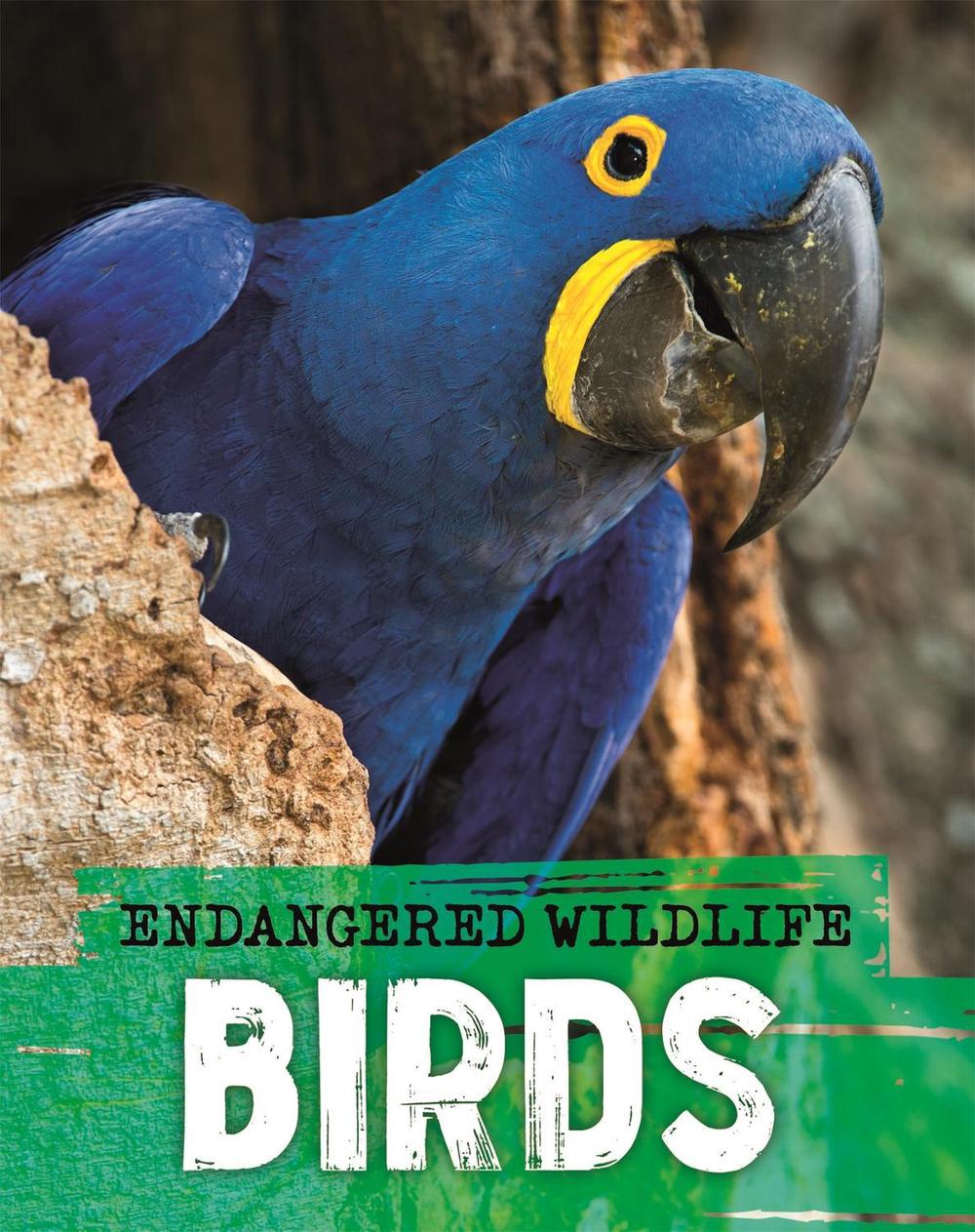 Endangered Wildlife: Rescuing Birds by Anita Ganeri - ISBN: 9781526309914