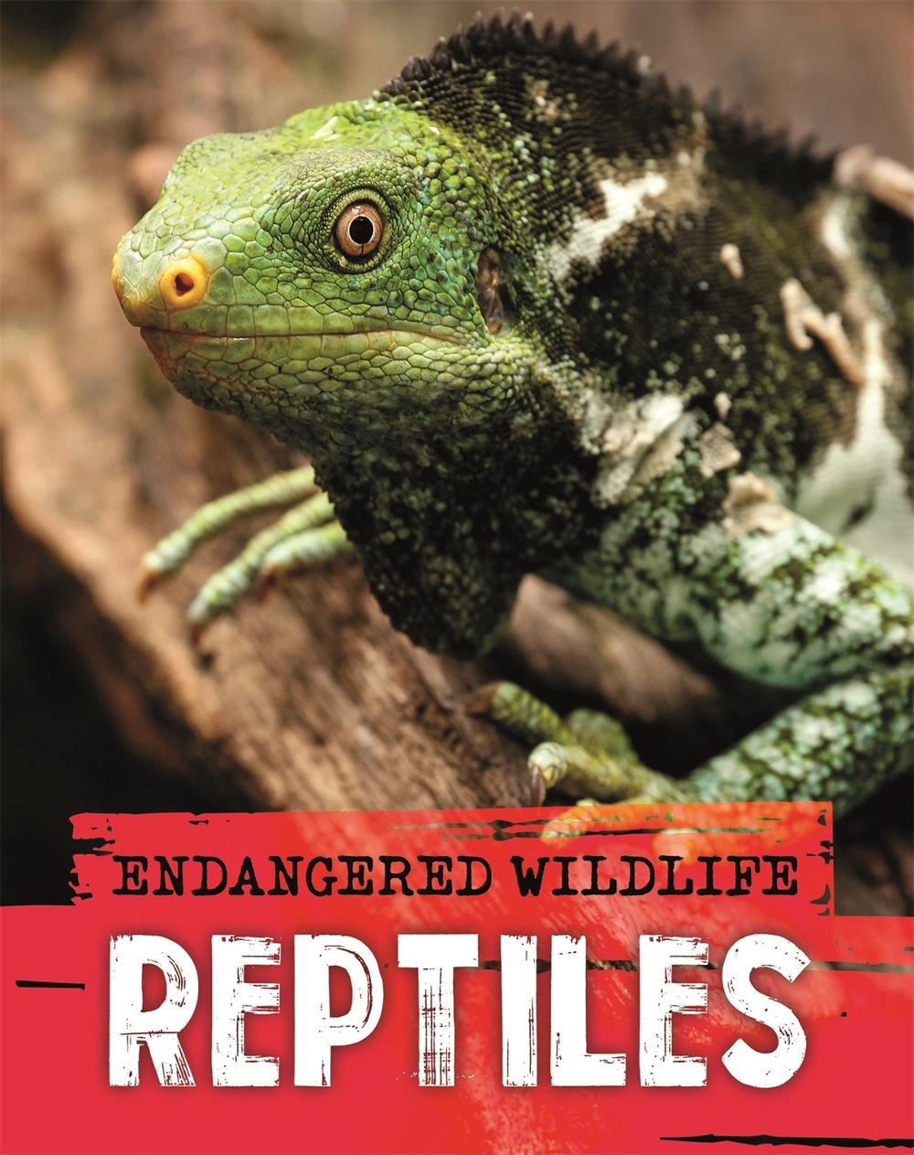 Endangered Wildlife: Rescuing Reptiles by Anita Ganeri - ISBN: 9781526309945