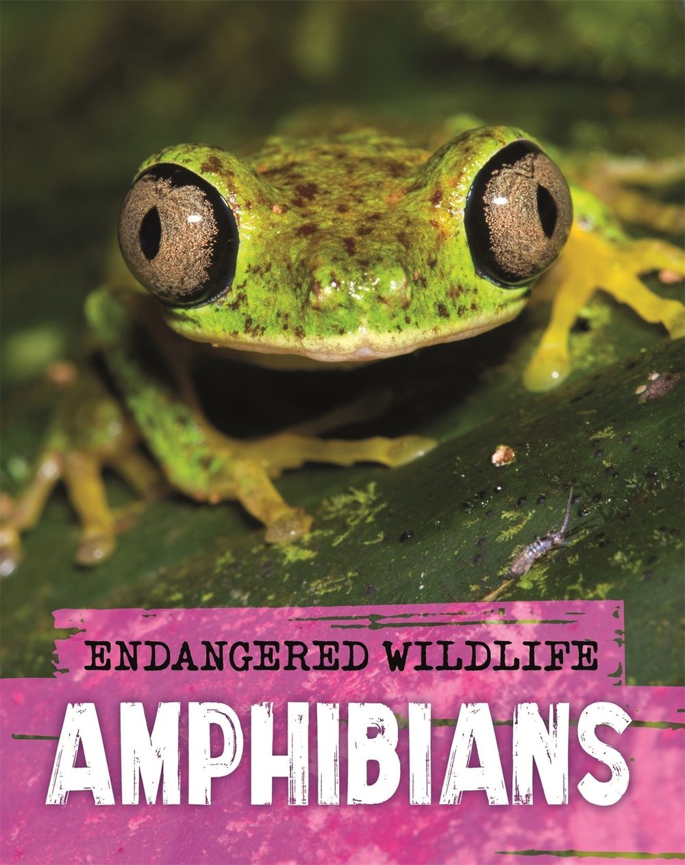 Endangered Wildlife: Rescuing Amphibians by Anita Ganeri - ISBN: 9781526309952