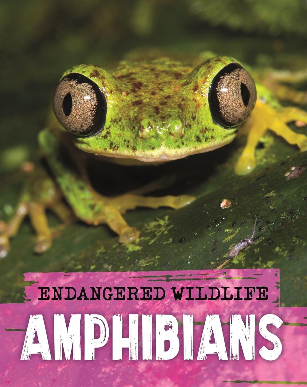 Endangered Wildlife: Rescuing Amphibians, 9781526309969