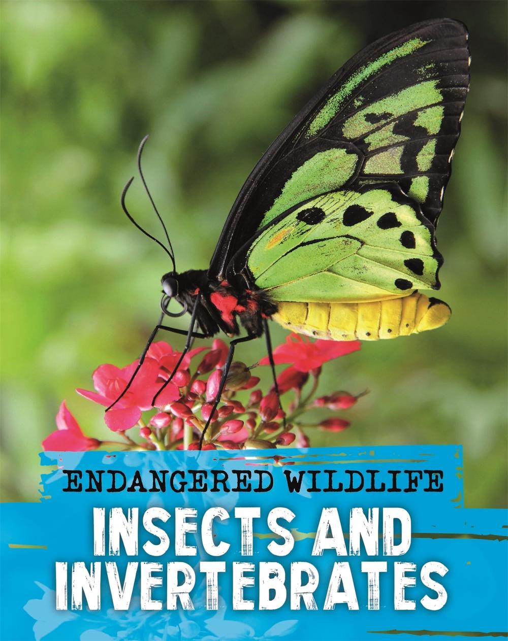 Endangered Wildlife: Rescuing Insects and Invertebrates by Anita Ganeri - ISBN: 9781526309976