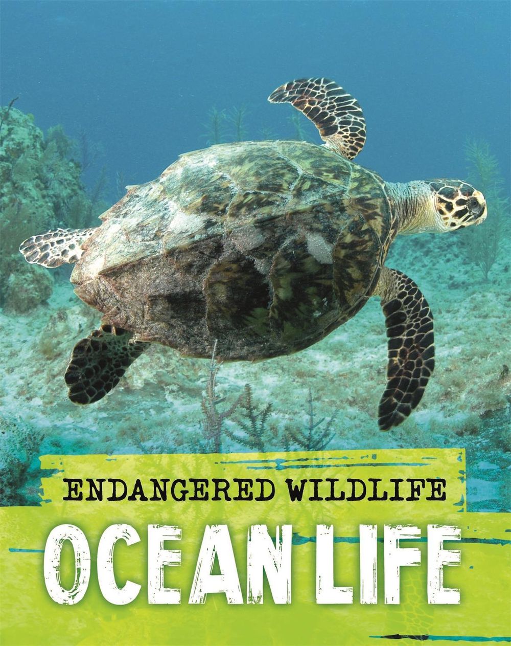 Endangered Wildlife: Rescuing Ocean Life by Anita Ganeri - ISBN: 9781526310002