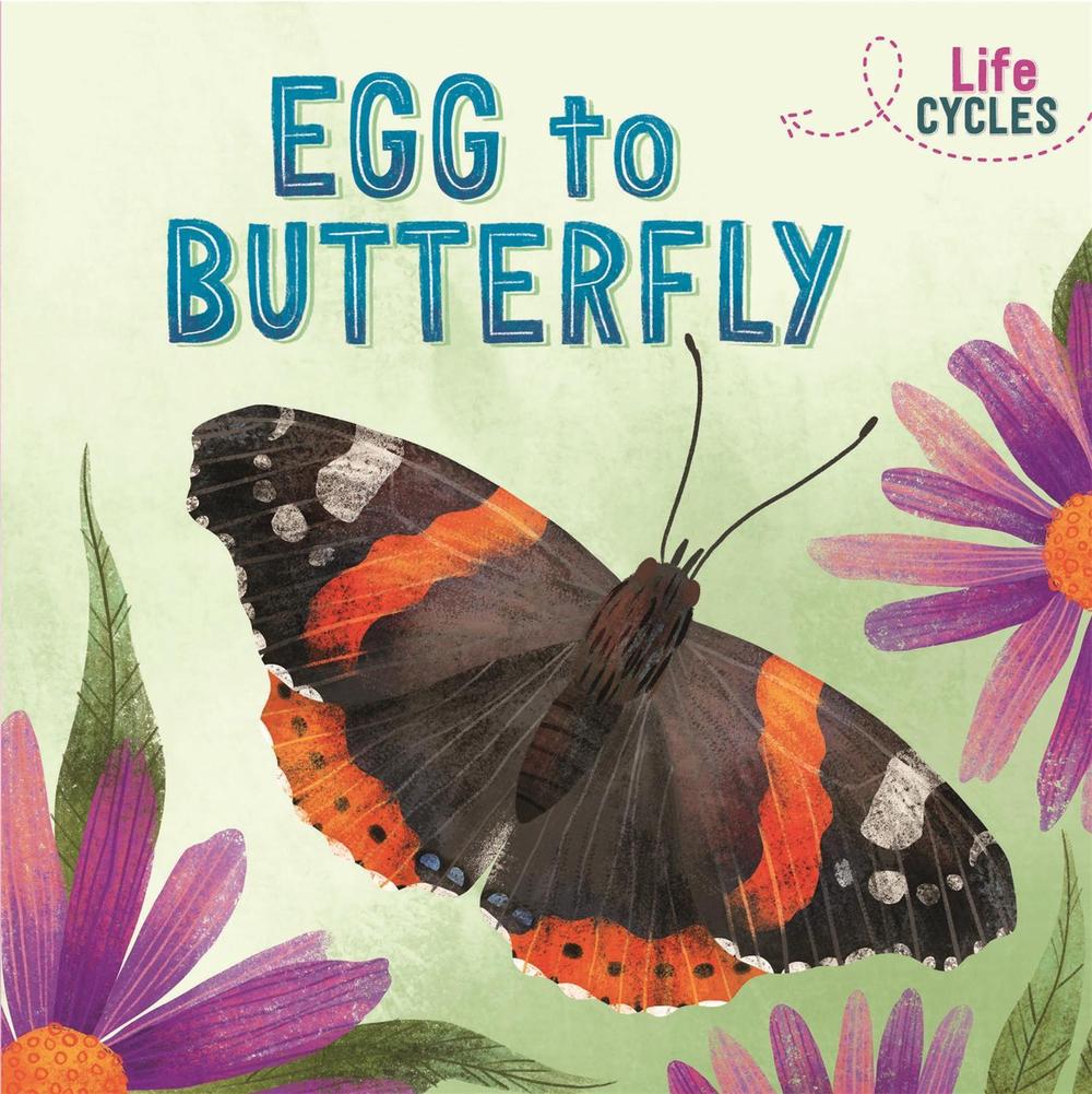 Life Cycles: Egg to Butterfly by Rachel Tonkin - ISBN: 9781526310224
