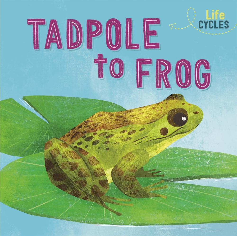 Life Cycles: From Tadpole to Frog by Rachel Tonkin - ISBN: 9781526310248