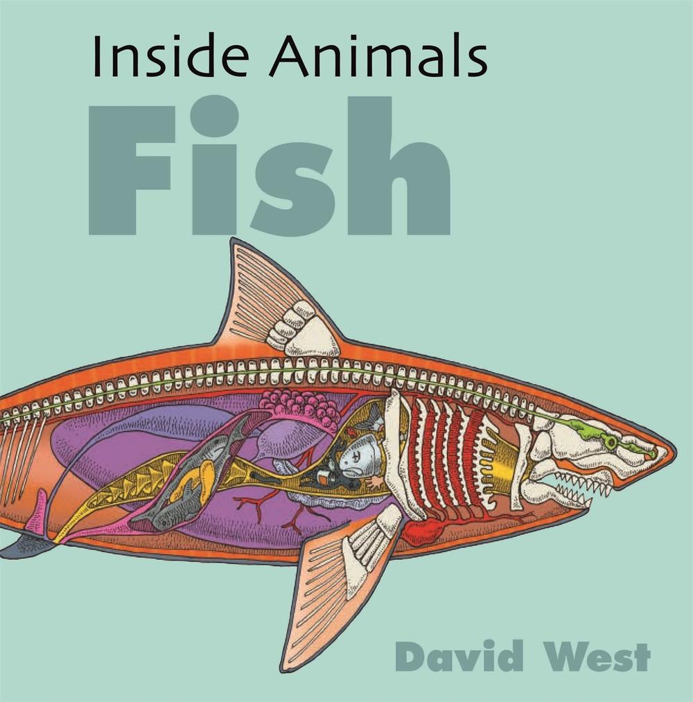 Inside Animals: Fish by David West - ISBN: 9781526310866