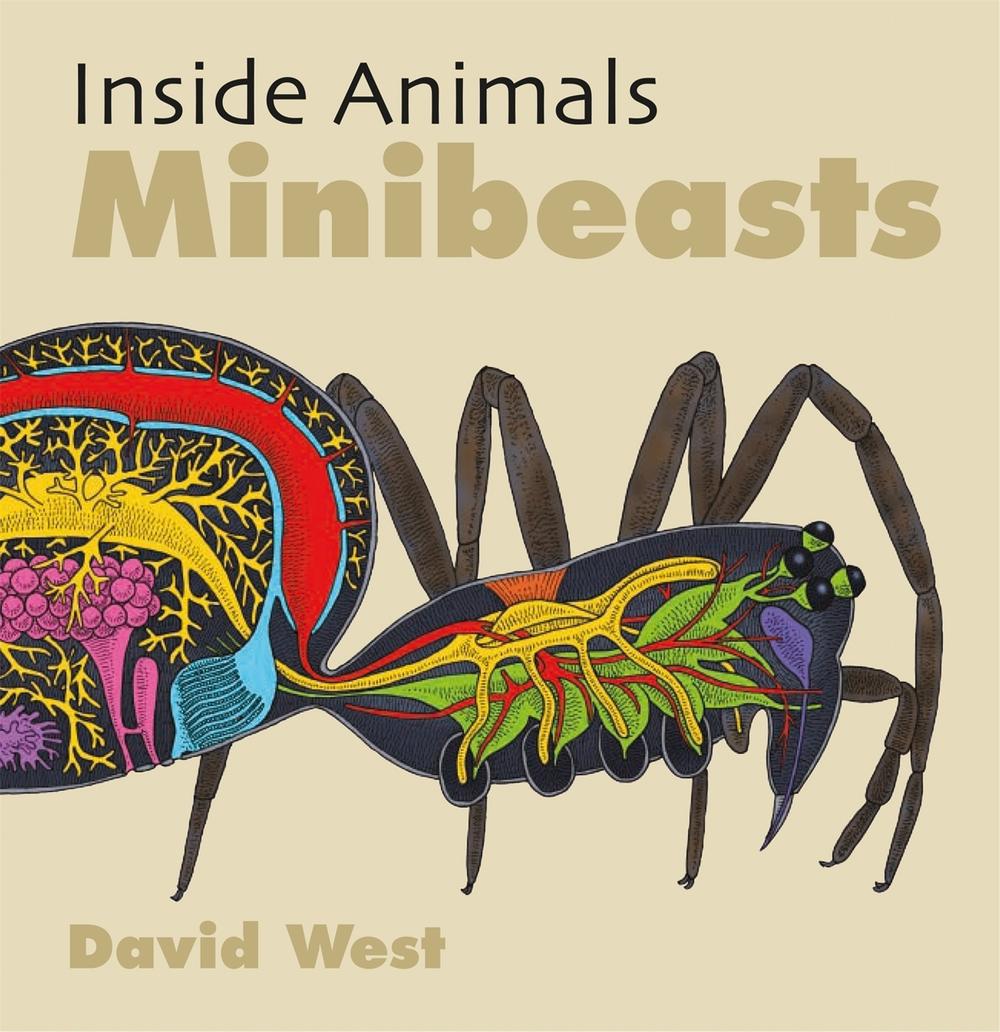 Inside Animals: Minibeasts by David West - ISBN: 9781526310880