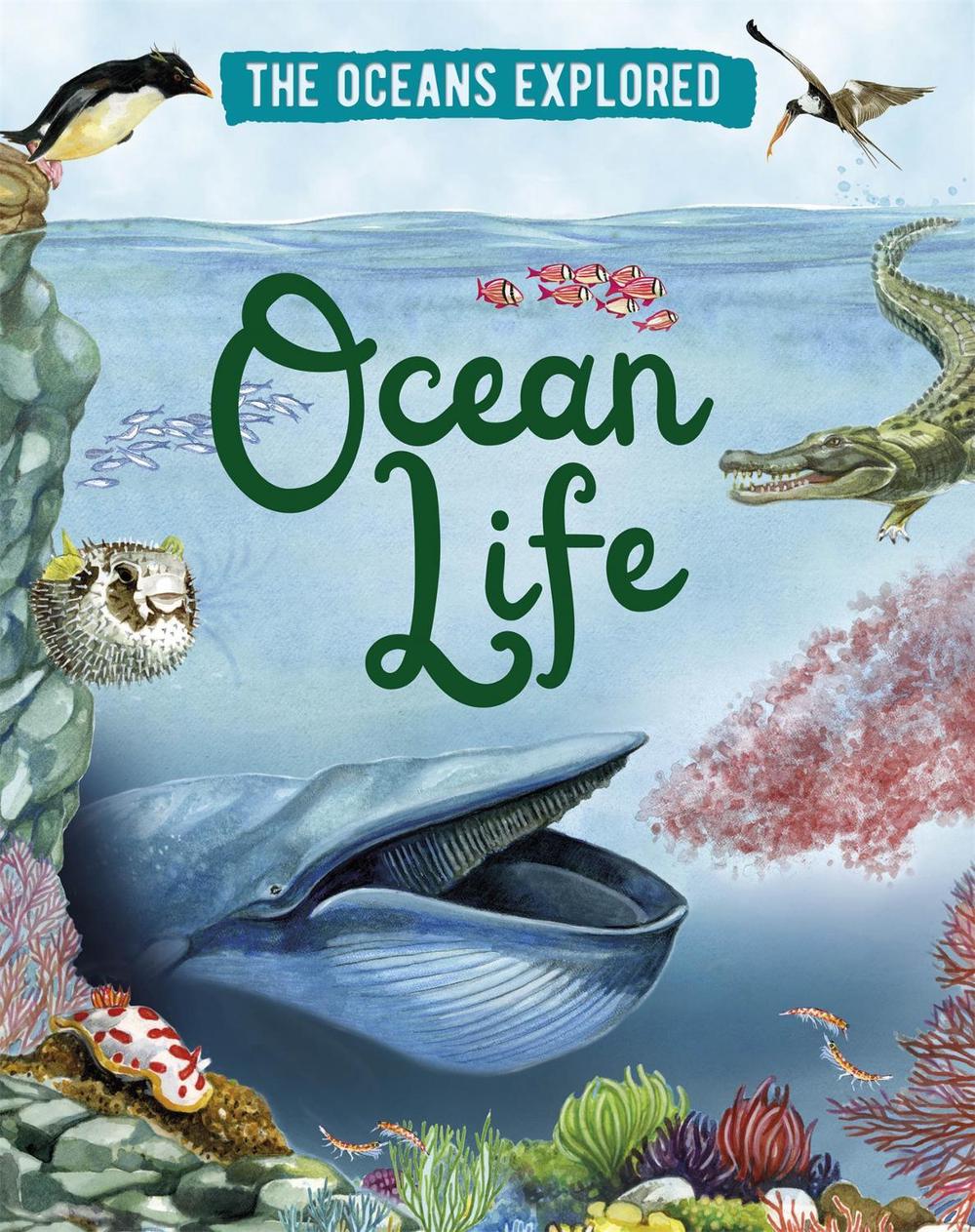 The Oceans Explored: Ocean Life by Claudia Martin - ISBN: 9781526314314