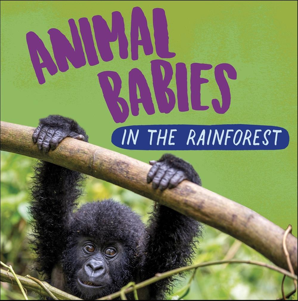 Animal Babies: In the Rainforest by Sarah Ridley - ISBN: 9781526314536