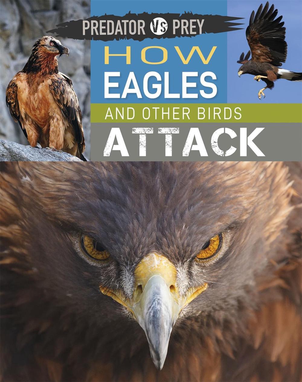 Predator vs Prey: How Eagles and other Birds Attack by Tim Harris - ISBN: 9781526314581