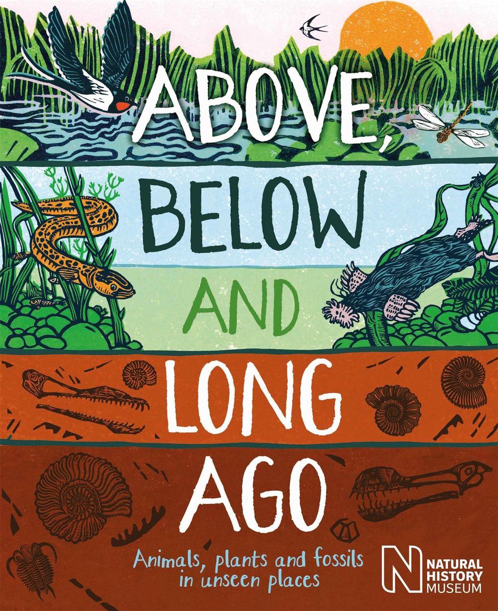 Above, Below and Long Ago by Michael Bright - ISBN: 9781526318121