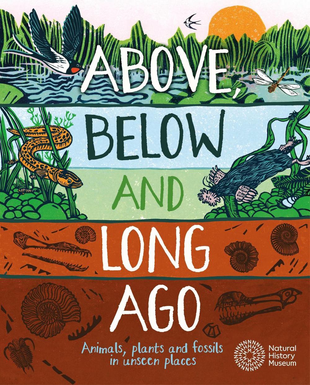 Above, Below and Long Ago by Michael Bright - ISBN: 9781526318138