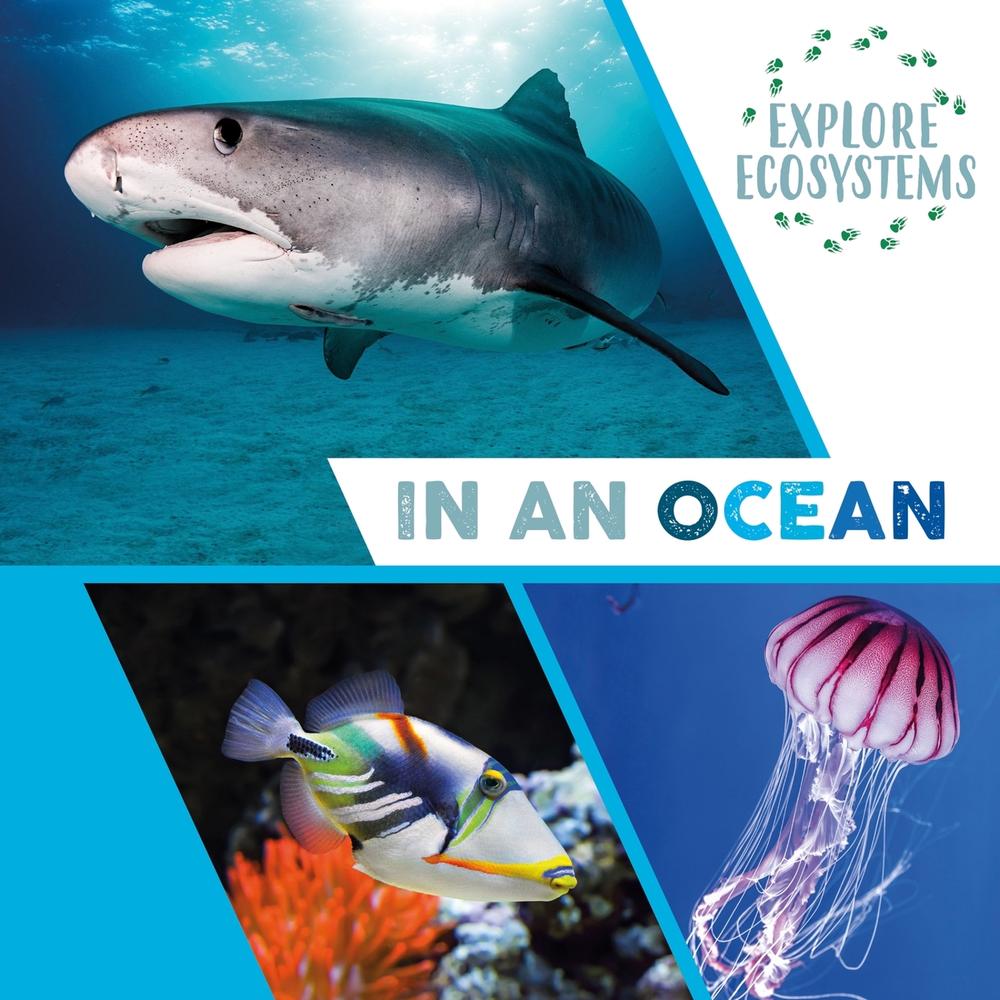 Explore Ecosystems: In an Ocean by Sarah Ridley - ISBN: 9781526322272