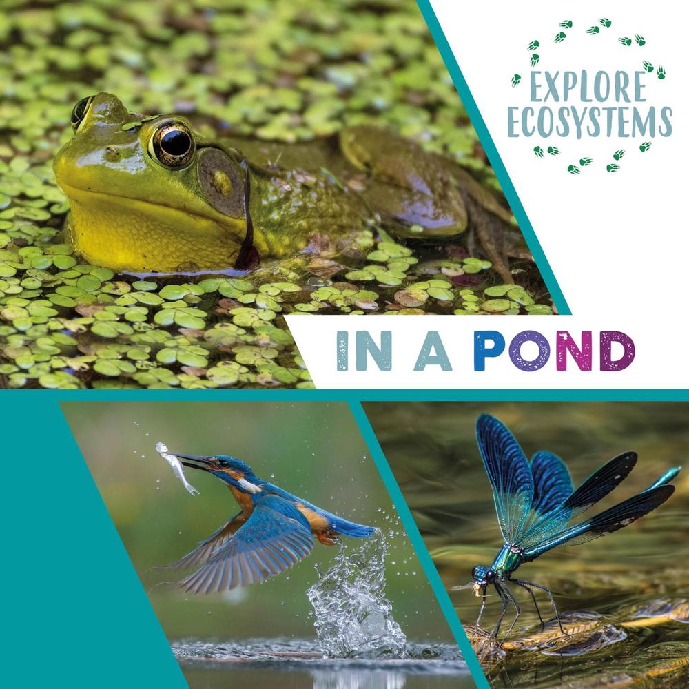 Explore Ecosystems: In a Pond by Sarah Ridley - ISBN: 9781526322456